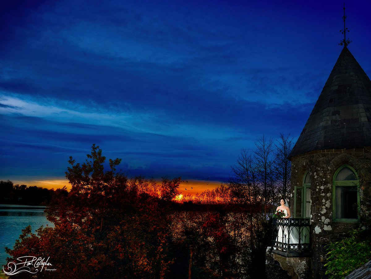 Paul Callaghan tweet media