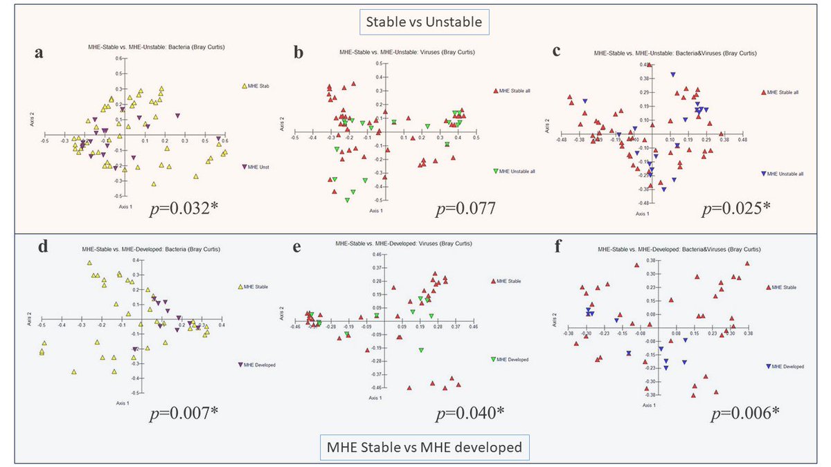 Jasmohan Bajaj (@jasmohanbajaj) on Twitter photo Does the 💩#virome affect 🧠in #cirrhosis?
🔑Yes! but likely thru #bacteria
🔑In #hepaticencephalopathy cross-section & longitudinally⤵️
pubmed.ncbi.nlm.nih.gov/38010871/
building on <a href="/Gut_BMJ/">Gut Journal</a> ⤵️
pubmed.ncbi.nlm.nih.gov/32998876/
🔑new🎯 for #gutbrainaxis?
Collab w <a href="/GeorgeMasonU/">George Mason University</a> <a href="/ChulalongkornU/">Chulalongkorn U.</a> Does the 💩#virome affect 🧠in #cirrhosis?
🔑Yes! but likely thru #bacteria
🔑In #hepaticencephalopathy cross-section & longitudinally⤵️
pubmed.ncbi.nlm.nih.gov/38010871/
building on <a href="/Gut_BMJ/">Gut Journal</a> ⤵️
pubmed.ncbi.nlm.nih.gov/32998876/
🔑new🎯 for #gutbrainaxis?
Collab w <a href="/GeorgeMasonU/">George Mason University</a> <a href="/ChulalongkornU/">Chulalongkorn U.</a>