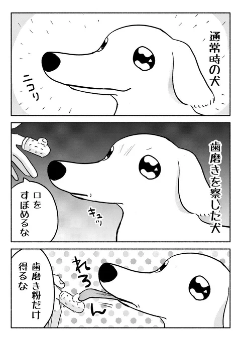 口角の可動域