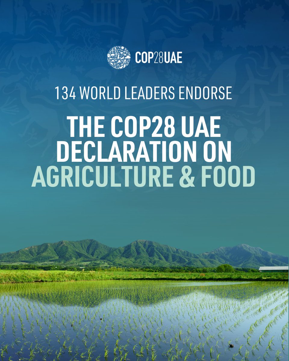 134 world leaders have endorsed the ‘COP28 UAE Declaration on Sustainable Agriculture, Resilient Food Systems, and Climate Action’, announced H.E. Mariam bint Mohammed Almheiri, UAE Minister of Climate Change and Environment and COP28 Food Systems Lead, during the World Climate