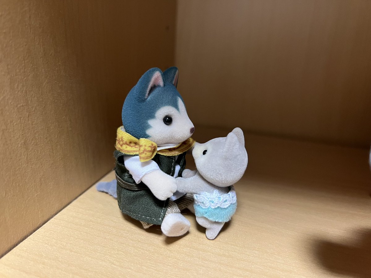 Kuvania's tweet photo. これからシルバニア生活を頑張りたいです https://t.co/A2MZfzmqrt
