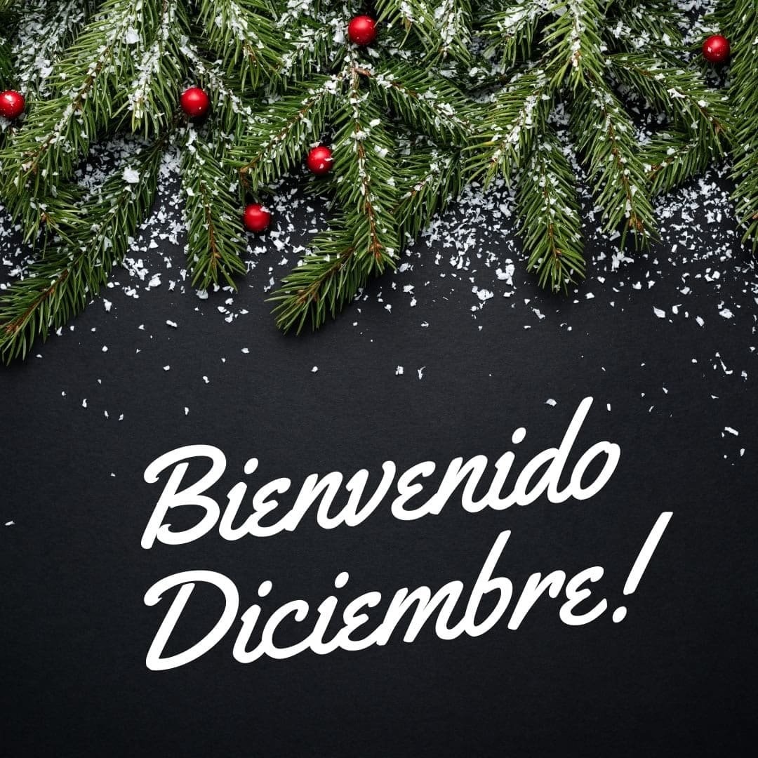 Bienvenido Diciembre": Por quienes le dan la bienvenida al nuevo mes.