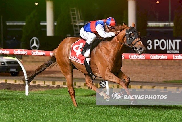 CDi_Iorio's tweet image. Memorable day for rider Rhys McLeod, three wins (1 at Mornington, 2 at @TheValley) and two seconds from six rides.

McLeod’s Valley double (Fullproof &amp;amp; Kailash) is his first Melbourne double since May 2006 — Green Birdie (Blue Sapphire) and Bird Dancer for trainer Brian Jenkins.