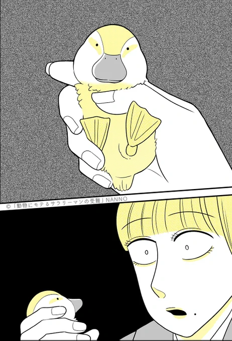なぜかポケットに子ガモが入ってたOL (1/3)

#漫画が読めるハッシュタグ #カモ #アヒル 