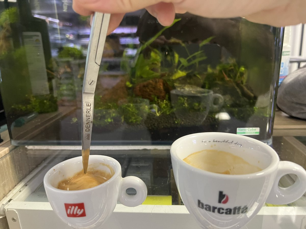 fishbox_si's tweet photo. Morning coffee, I desperately need spoons :) https://t.co/EwadZHiwhJ