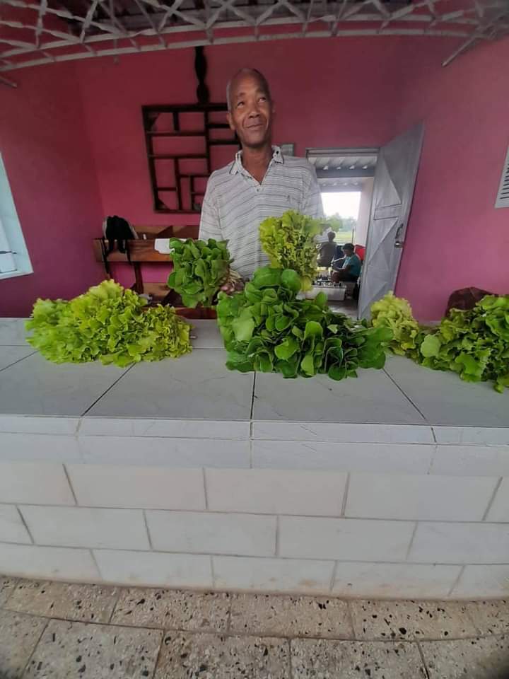ETurruellas's tweet photo. Organopónico #ElVial en el municipio #PinarDelRio #SiSePuede @YdaelB @MMarreroCruz @JorgeLuisTapiaF @PresidenciaCuba @AsambleaCuba @RamnAguilarBet2 @MINAGCuba https://t.co/WPyQl4P2Ib