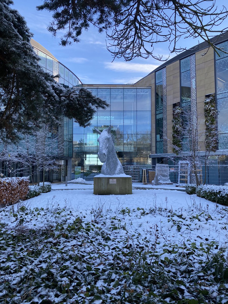 SpiriAthas's tweet photo. Winter at Easter bush #easterbush @SRUCResearch @SRUC @uoe @TheDickVet https://t.co/p1iDB6ZQgJ