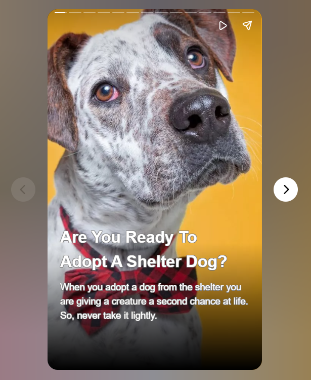 Remember that adopting a shelter dog can be a rewarding experience, but it comes with responsibilities.

Make sure you're fully prepared for the commitment and are willing to provide a loving and stable home for your new canine companion.

webstories.today/watch/are-you-…

#dogs