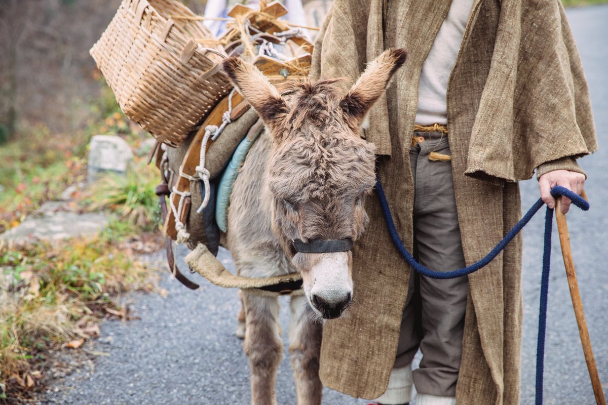 ParcoAlpiLiguri's tweet photo. #borghisvelati nel #parcoalpiliguri - Il Museo Etnografico "Civiltà delle Malghe" di #Mendatica🐑 riporta il visitatore alla vita di un tempo, proponendo una ricca collezione di oggetti d’uso quotidiano 🧺 ma anche di riproduzioni di documenti storici 📜.
📞Info: Tel. 0183 328713 https://t.co/2A9GYRe1zW