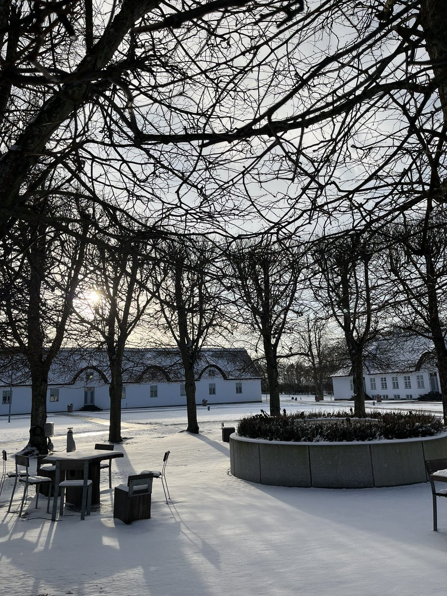 Maria Metelova 🇺🇦 tweet media