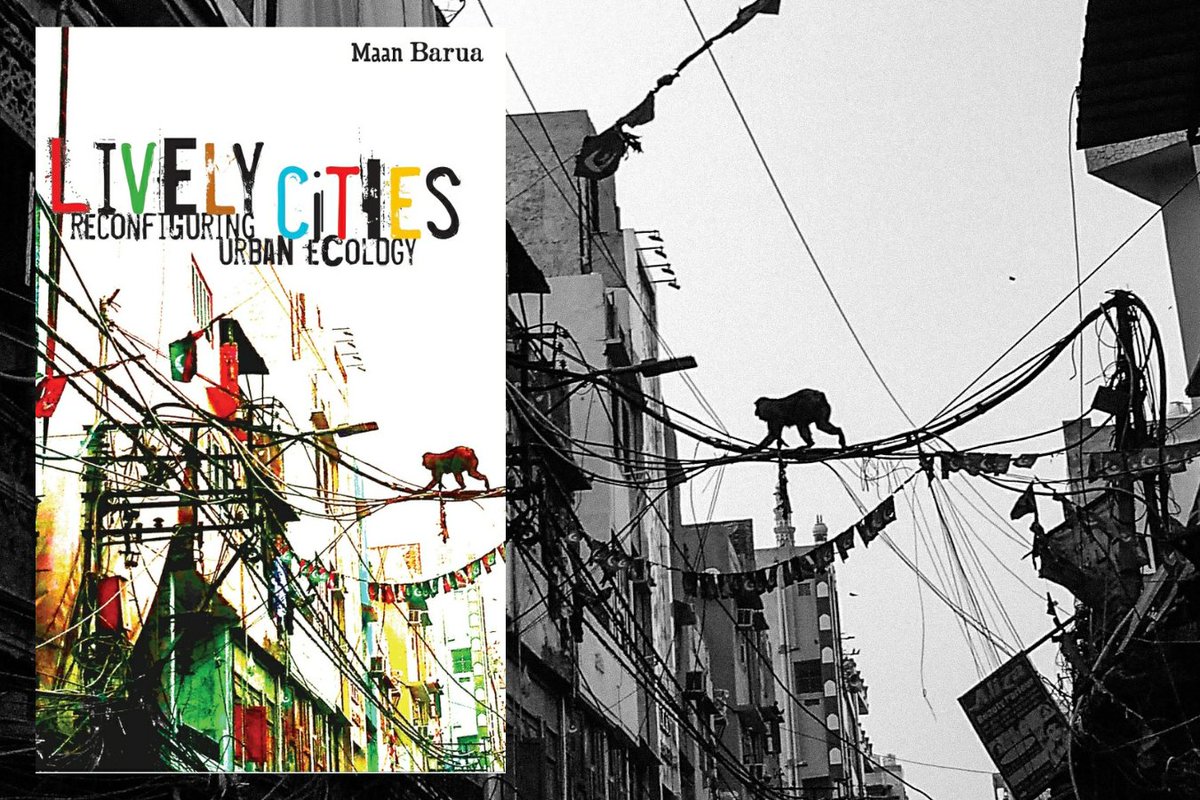 A story of the cover image of #LivelyCities! My new piece in @road_sides discuses the photograph, #infrastructure and writing the #urban in a #minor key! #UrbanEcologies roadsides.net/barua-010/