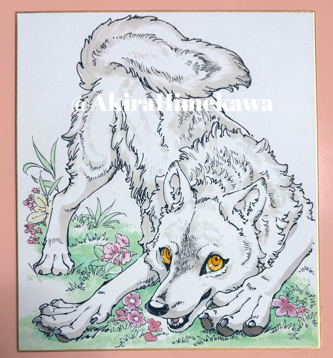 「なすど ホッキョクオオカミのシンラたんの懐こいイメージで  こちらはオオカミ展に」|姫川 明 / 姫川 明輝🌟のイラスト