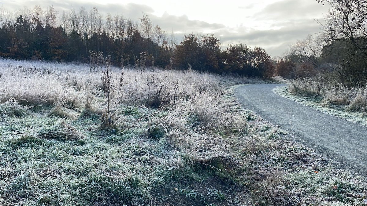 Campion Sport tweet media