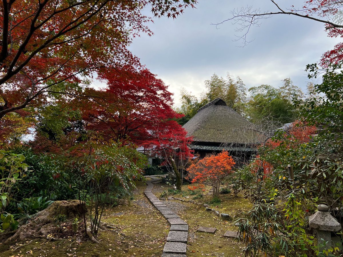 tocokyoto's tweet photo. 嵐山の直指庵。ずっと閉門していて通常公開はしておらず、今年は亡きご住職を偲んで12/2(土)まで一般公開されています。ここは観光客がいないので、静かに山と紅葉に囲まれながらじっくり過ごすことができる穴場スポット。 https://t.co/1luqAsPnB8