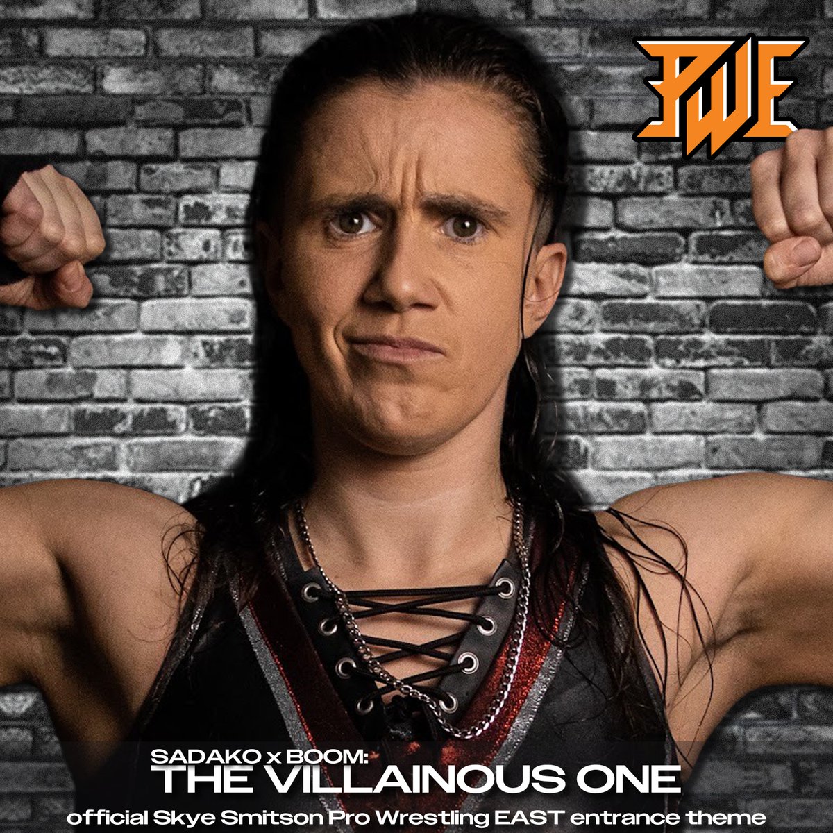Check out "The Villainous One", the new official theme song for <a href="/SkyeSmitson/">Skye Smitson</a>; created by the ever-awesome <a href="/ghostsofsadako/">ghosts of sadako</a> and #OldManBoom.

Available directly from <a href="/ConchairtoRec/">Conchairto Records</a> conchairtorecords.bandcamp.com/album/the-vill… or on Spotify/etc.