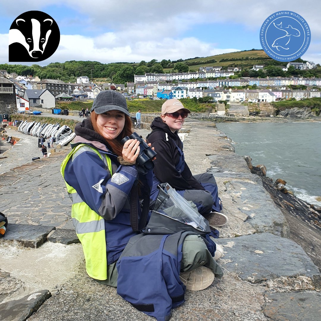📢 We're looking for volunteers to join our #MarineConservation team 🌊 🐬

🐙Contribute to #marineconservation in Wales, experience our amazing wildlife and have fun! 🦈

🐚 Follow the link to discover more 👉ttps://ow.ly/oANR50Q4Vcc

<a href="/WTSWW/">WildlifeTrustSWWales 🦡🐬</a> <a href="/WTWales/">Wildlife Trusts Wales</a>