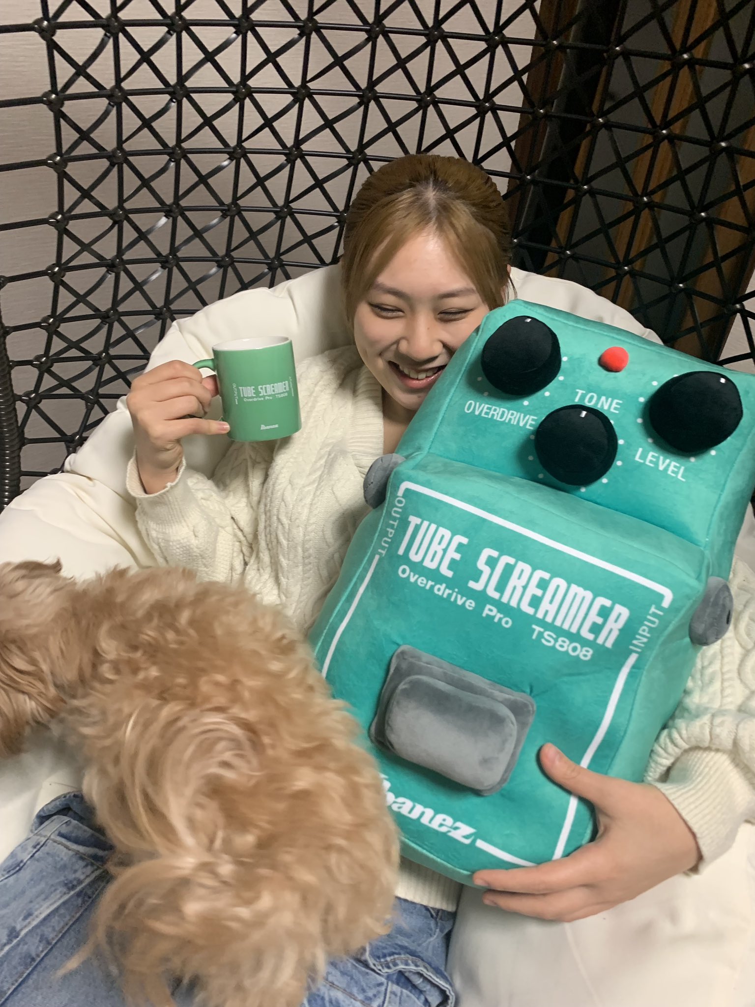 Li-sa-X（Official） on X: 