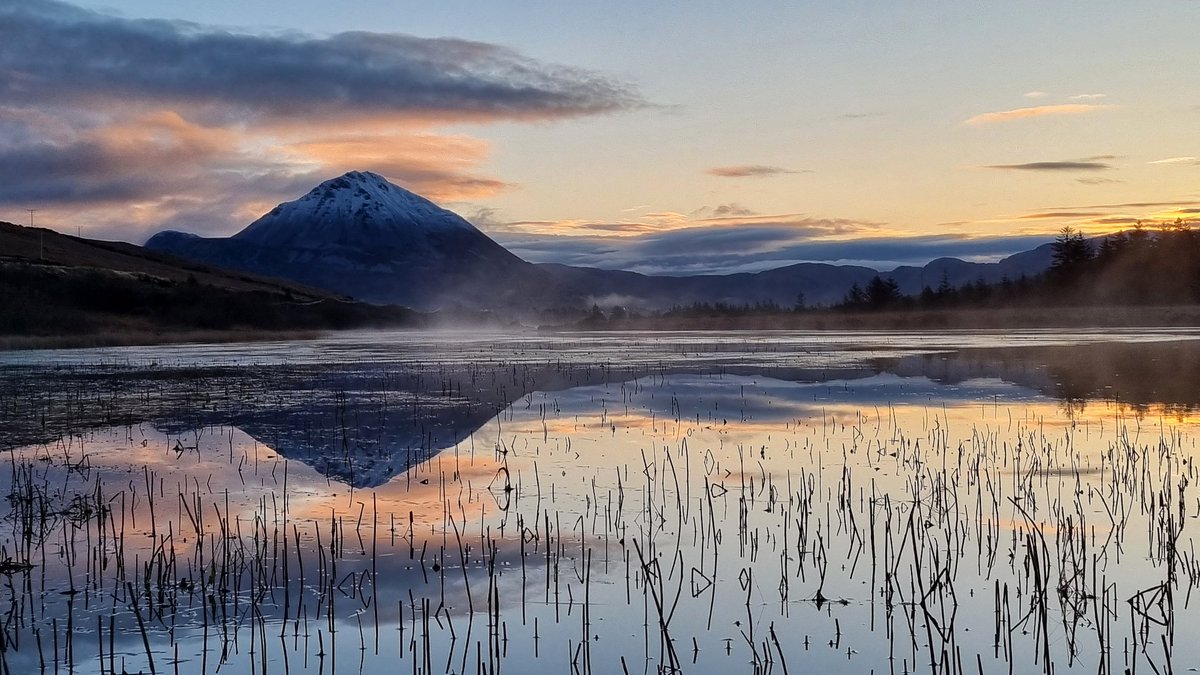 Iain Miller tweet media