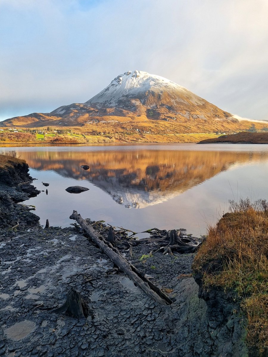 Iain Miller tweet media