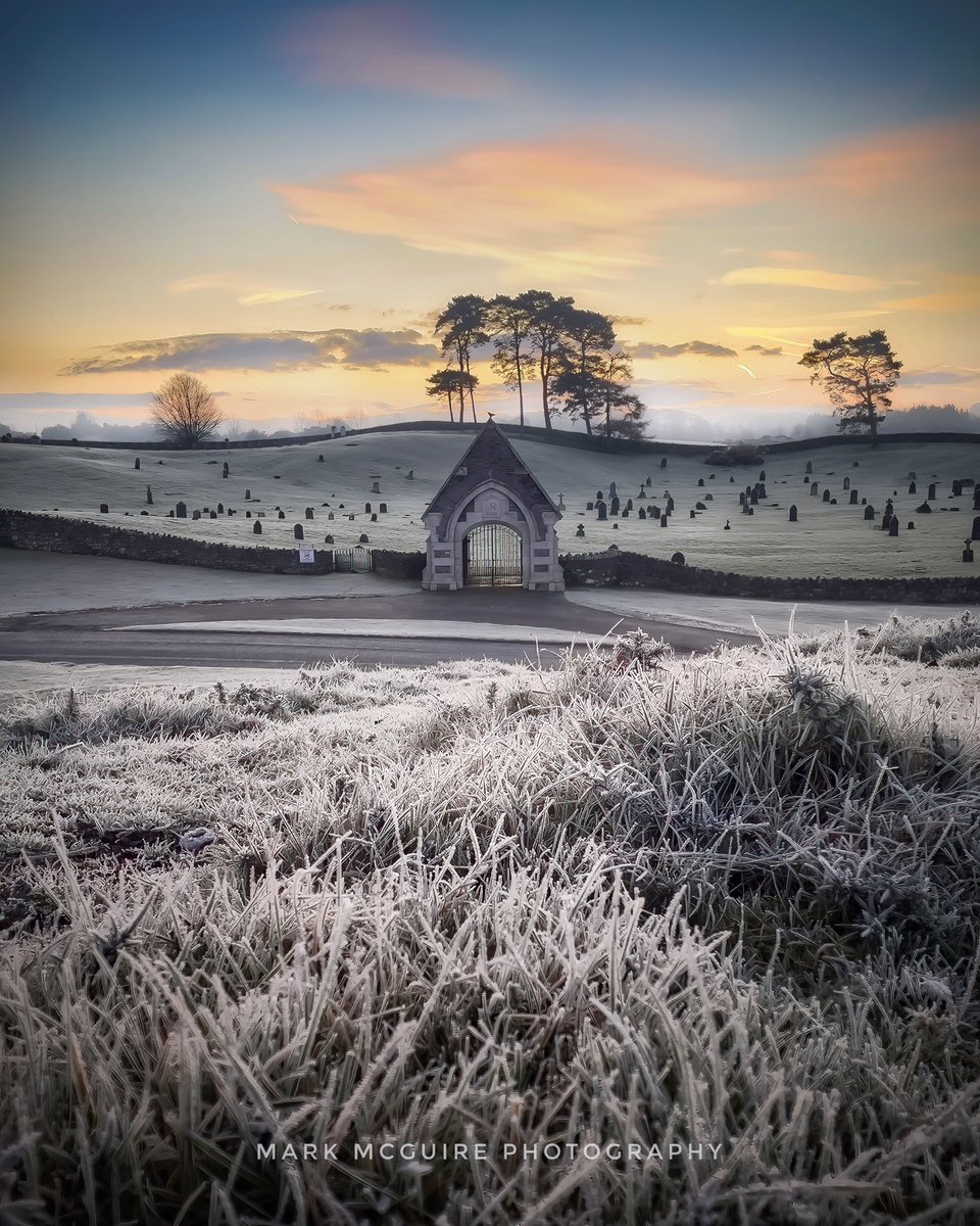 Mark McGuire (@markmcguire_irl) on Twitter photo Pre-dawn on a frosty Curragh.. Pre-dawn on a frosty Curragh..