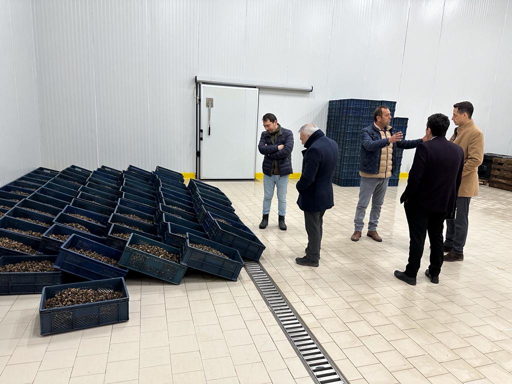InvestAmasya's tweet photo. Amasya OSB’de faaliyet gösteren firmaları ziyaret ederek, yatırım teşvik sistemi ve devlet destekleri hakkında bilgilendirmelerde bulunduk. @okakalkinma faaliyetleri ve destekleri hakkında bilgi verdik, iş birliği alanlarını görüştük. https://t.co/EVYl5ia2XA