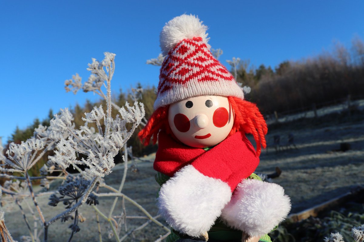 It's a cold and frosty day outside! And only 24 sleeps till Christmas 🤗🧑‍🎄🎅🎄