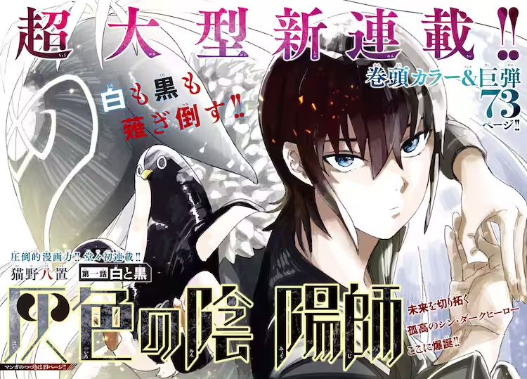 そういえば今年の四大少年誌、新連載でやたら陰陽師が活躍しだしたという話があってやな。

鵺の陰陽師
タタリ
もののけの乱
灰色の陰陽師 