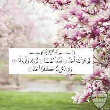 Mona Ali Al-Ghamdi tweet media