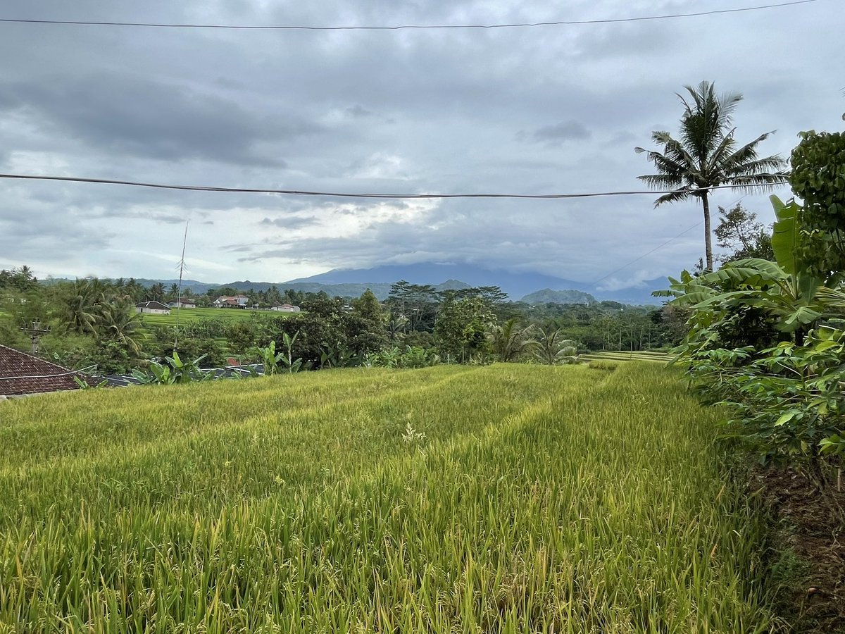 Alex Tilley tweet media