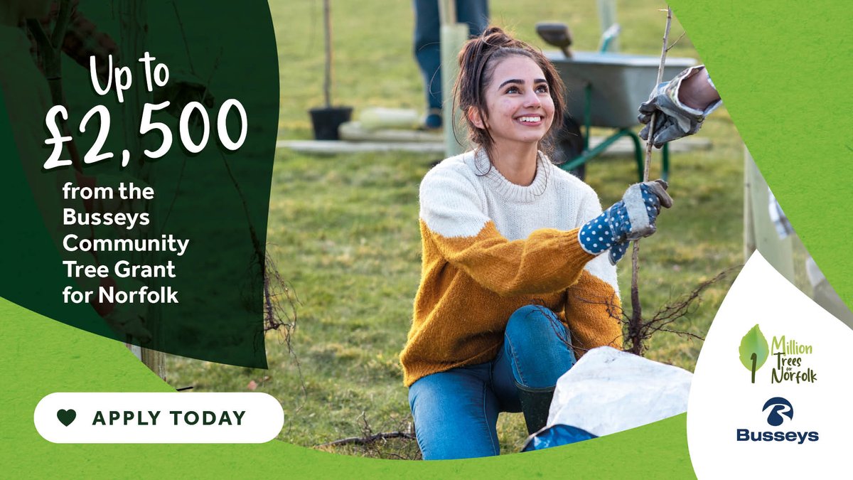 🌳 Norfolk County Council and Busseys have teamed up to offer grants of up to £2,500 for community tree projects. Applications are open to anyone in Norfolk with the necessary land permissions and space to plant trees that benefit the community. Visit: orlo.uk/7f2Fv