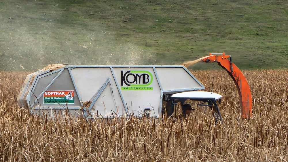 [Via @mbcooperator] Tech widens door for cattail-based fertilizer. manitobacooperator.ca/news-opinion/n…