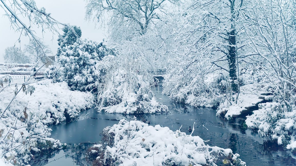 Beneather tweet media