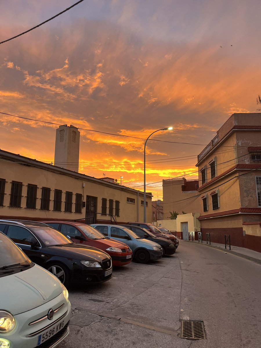 celadero_'s tweet photo. Príncipe de Ceuta 🧡 https://t.co/86M6egFJFj