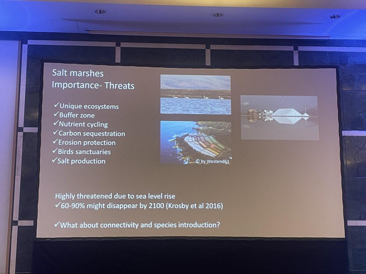#resilience of #phytoplankton in #solar #salterns by Eva Smeti at #mbk2023 <a href="/mikrobiokosmos/">MikroBioKosmos _ All microbes, one planet</a> 
#lesvos #larisa