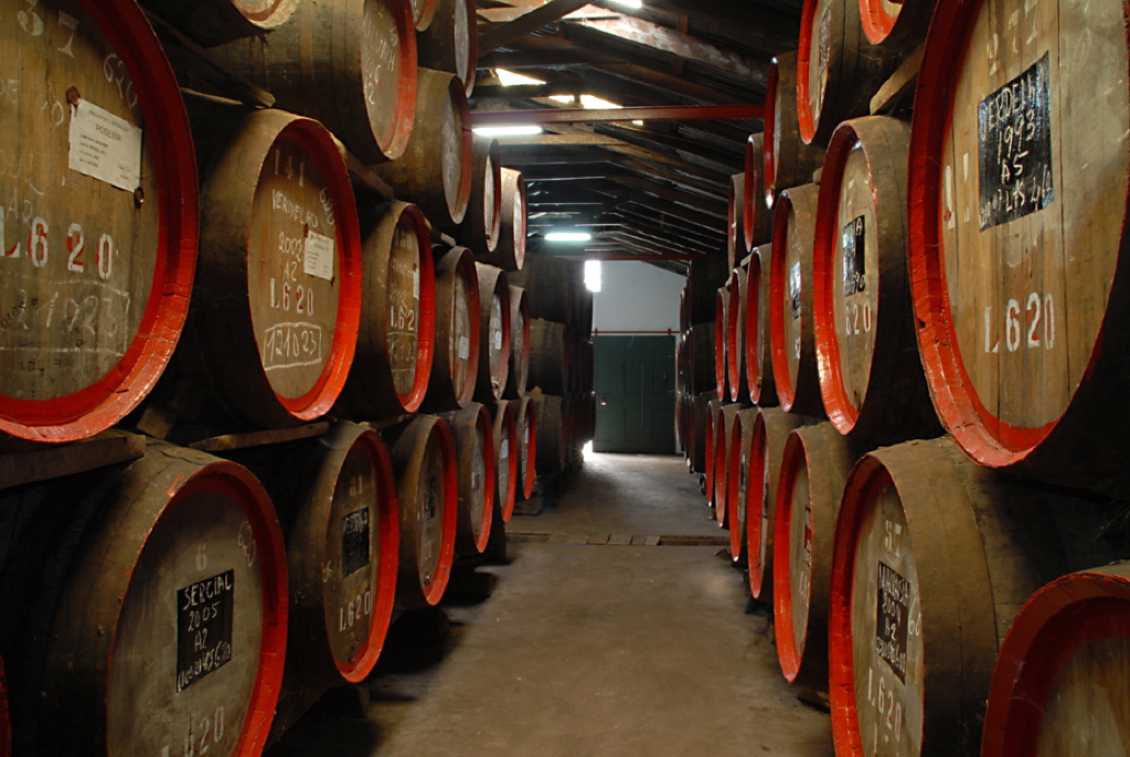 IWFS Global tweet media