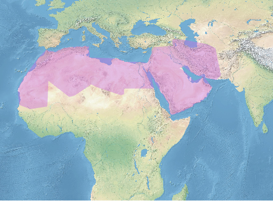 EAMENA is amongst the 10 largest contributors to the PeriodO time gazetteer used for linked open data. Our 235 time periods span from N. Africa's Lower Palaeolithic to MENA Modern Islamic. This framework will make it easier to share cultural heritage data!
n2t.net/ark:/99152/p0m…