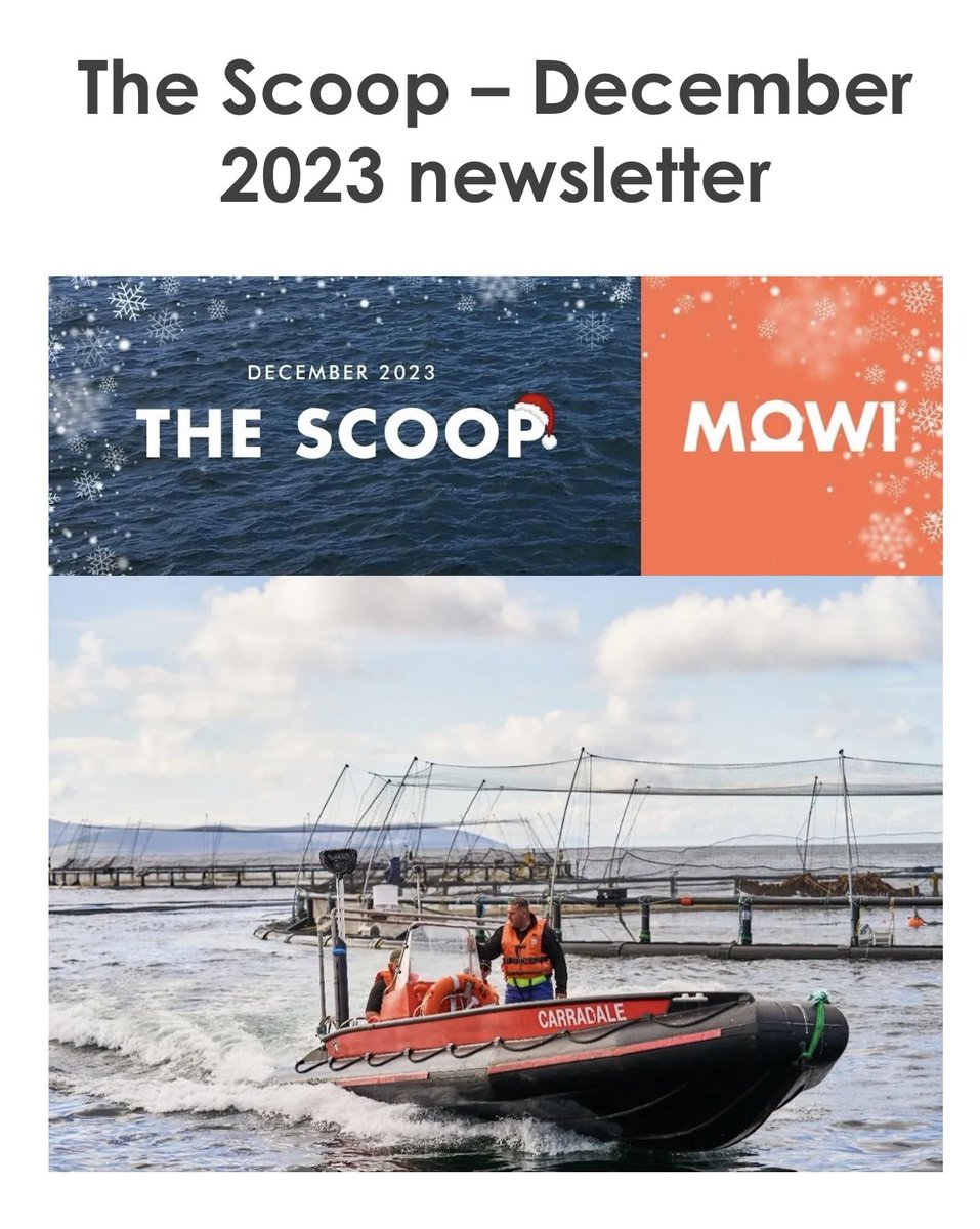 𝐍𝐞𝐰𝐬𝐥𝐞𝐭𝐭𝐞𝐫 | The Scoop – December Welcome to the latest edition of our newsletter 𝐓𝐡𝐞 𝐒𝐜𝐨𝐨𝐩. 🐟 North Kilbrannan salmon farm approval 🐟 First broodstock eggs at Inchmore 🏑 Mowi extends shinty sponsorship Read more here ⬇️ mowi.com/uk/blog/2023/1…