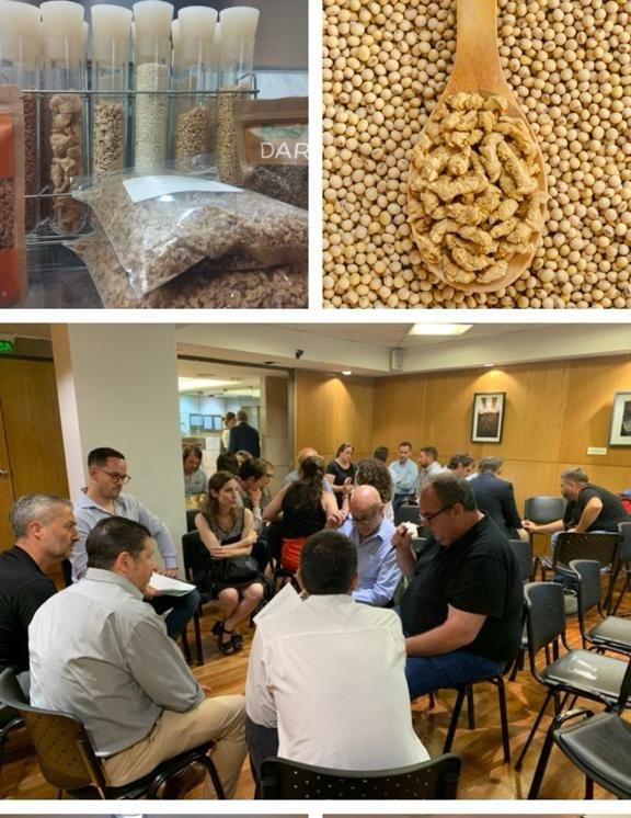 Con el objeto de promover las exportaciones de #ProteínasVegetales de 🇦🇷, se llevó a cabo el 1er Foro para el lanzamiento del Clúster a nivel nacional.
Fundamental que en ARG 🇦🇷, se coordinen estrategias a lo largo de la cadena productiva.