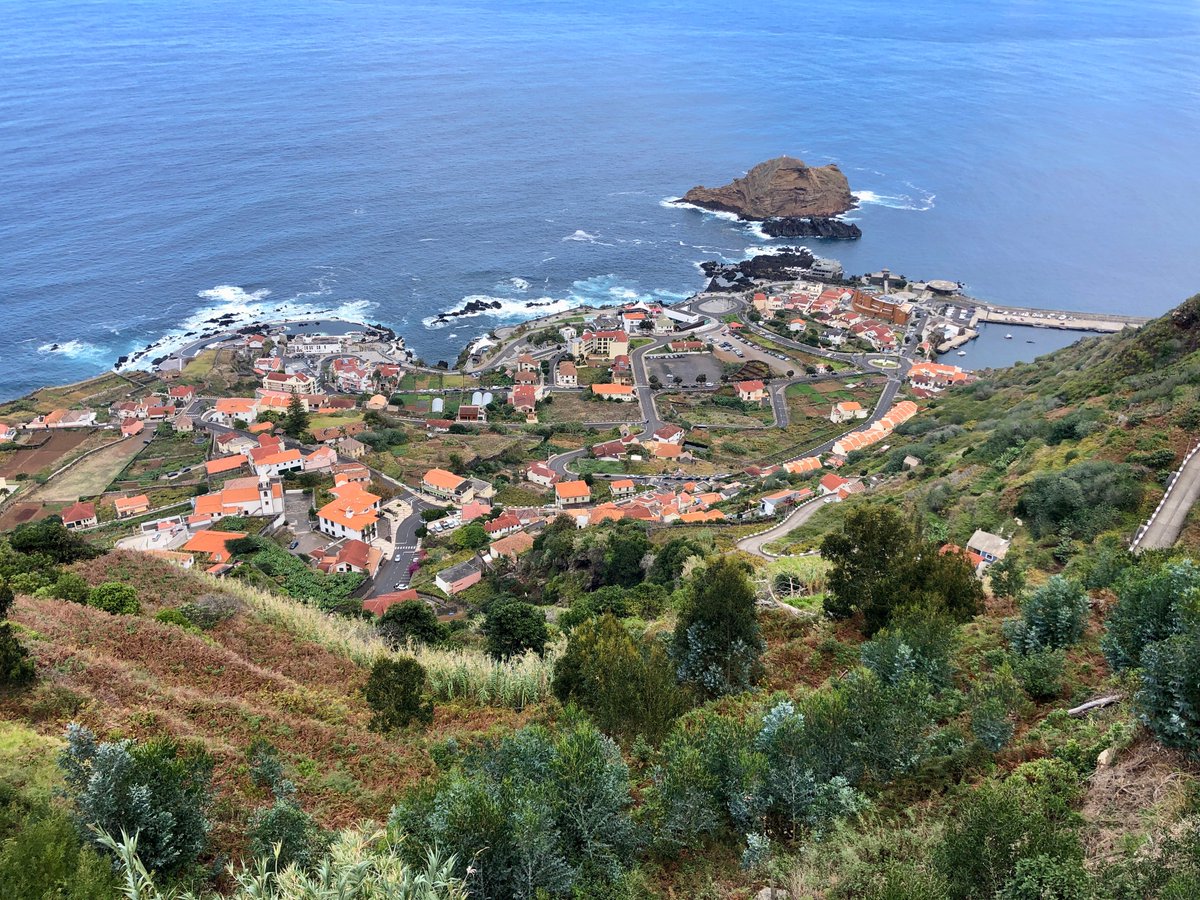 IWFS Global tweet media