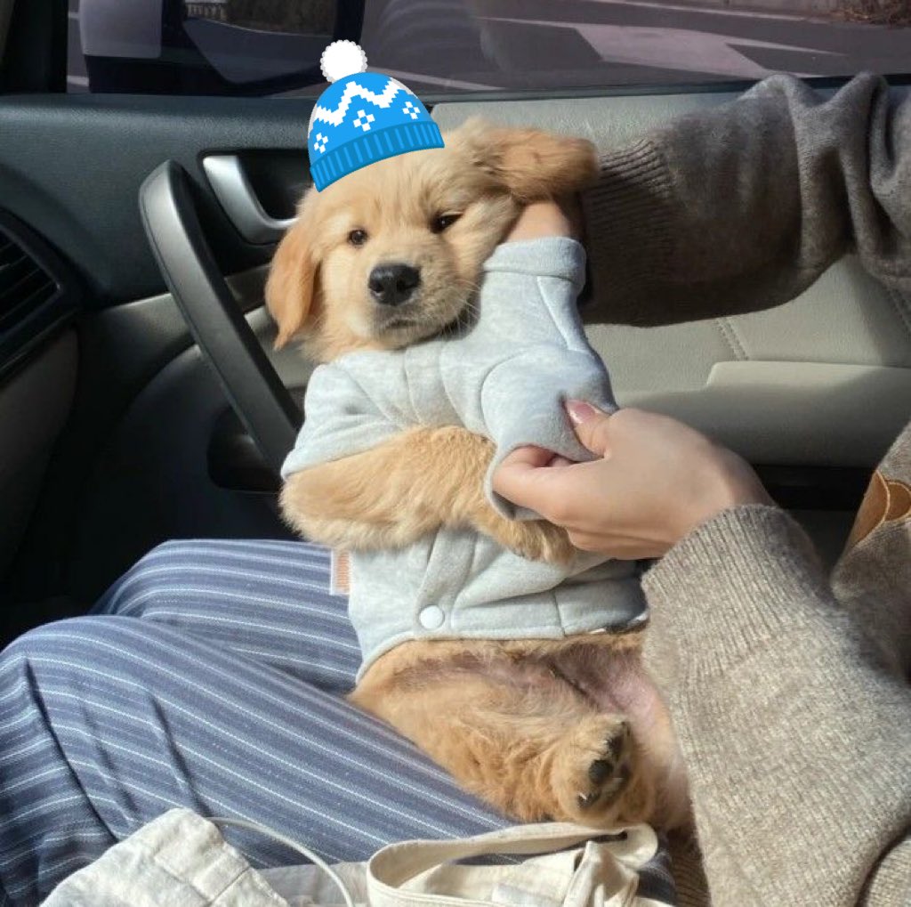 tonnyhahaha's tweet image. แฟชึนน่าหนาว พ้อมแร้วส์