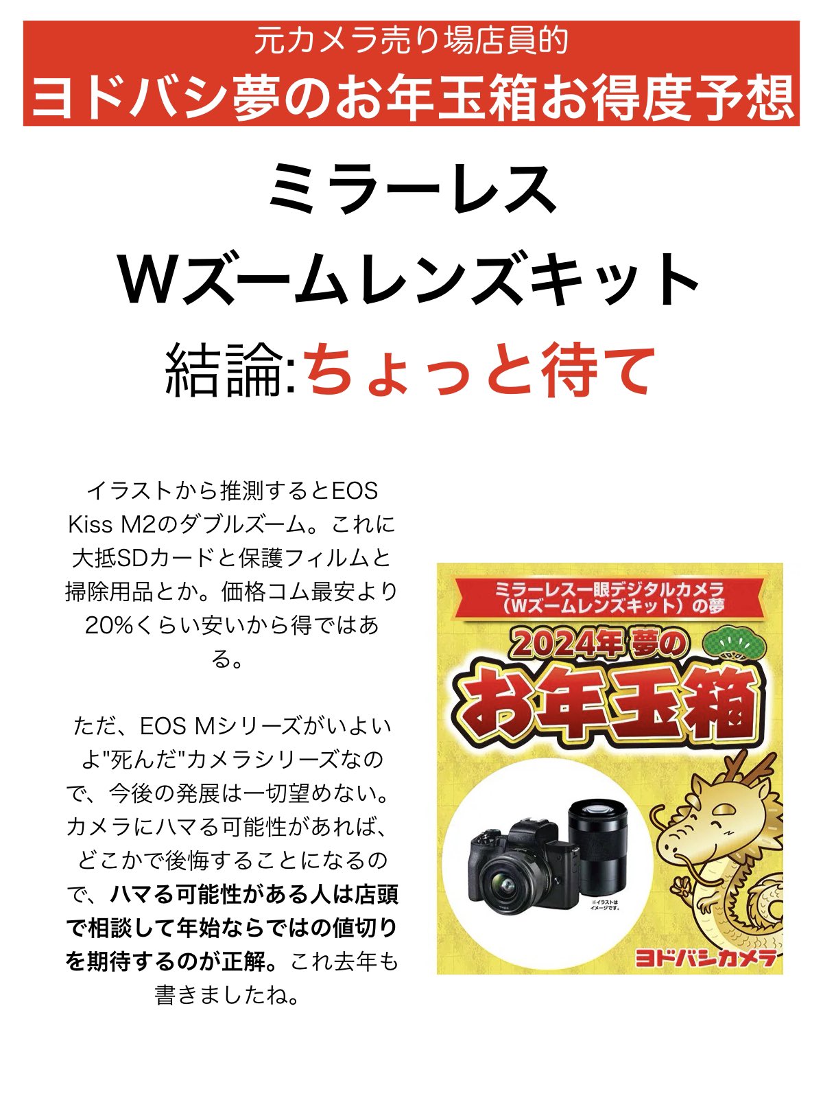 ヨドバシカメラ 夢のお年玉箱 ミラーレス一眼 ダブルズームの夢