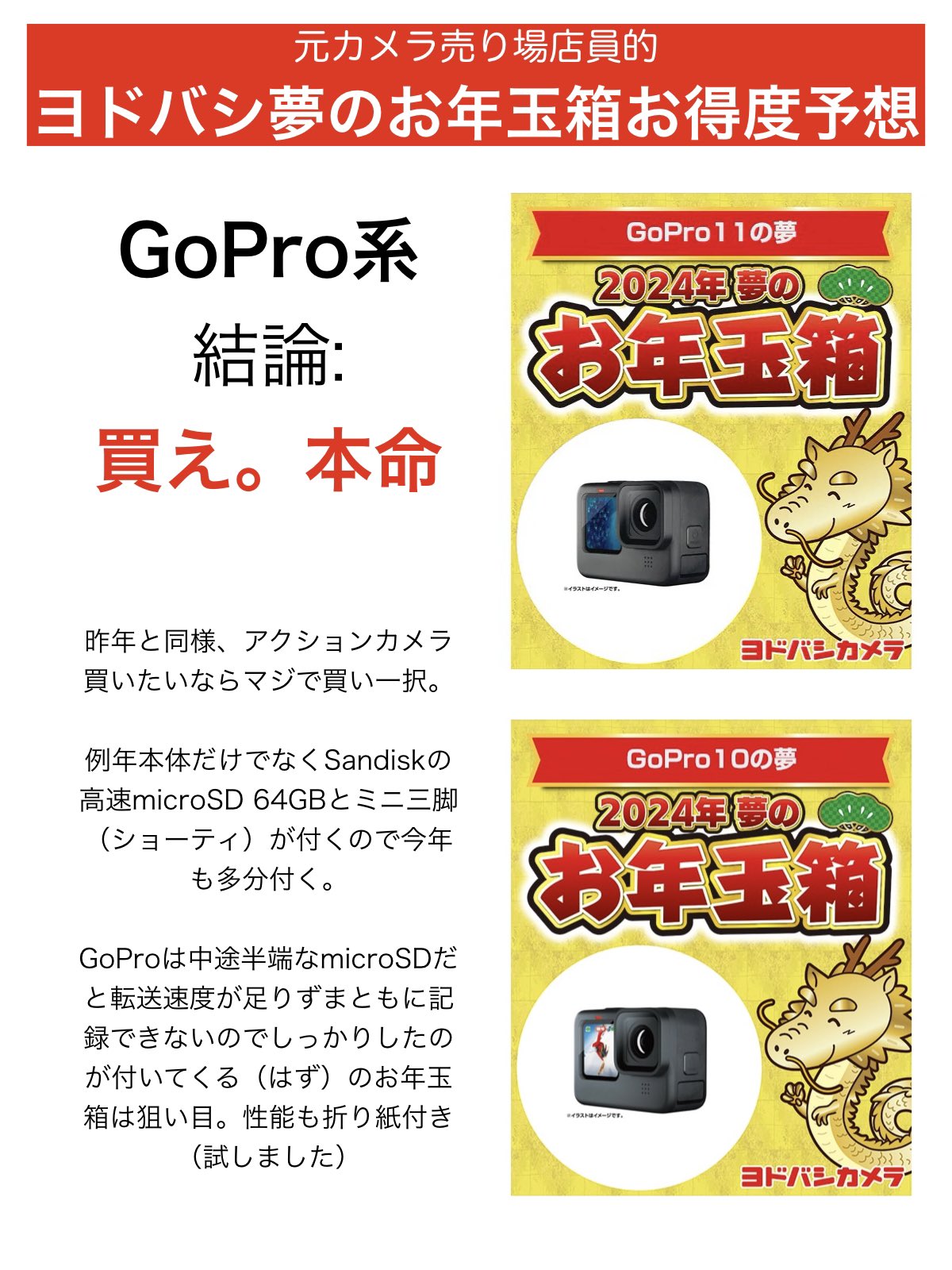 ヨドバシカメラ 夢のお年玉箱2024 GoPro10の夢