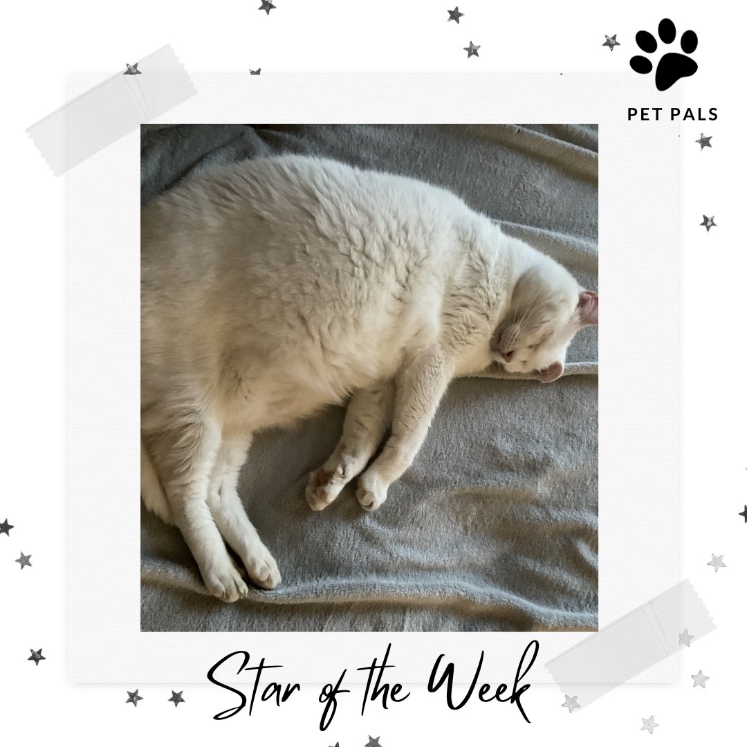 CUTENESS OVERLOAD ALERT! our online #PetPals Club has some new Stars Of The Week and they are giving all the cosy warm fluff and feather vibes! Perfect antidotes for cold and frosty mornings! 💙 #AnimalLovers #SchoolClubs