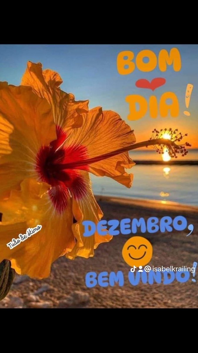 KrailingIsabel's tweet image. 