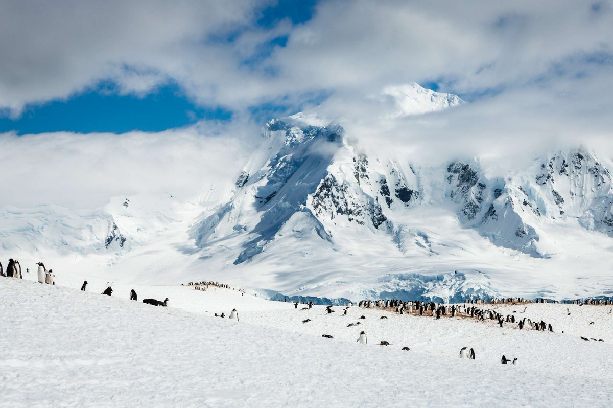 Today is a glorious day for Antarctic history – on December 1st, 1959, the famous #AntarcticTreaty was signed. Going into effect in 1961, the treaty established #Antarctica as a place for peaceful and open scientific study. A beautiful day to celebrate!

📷 by Max Draeger