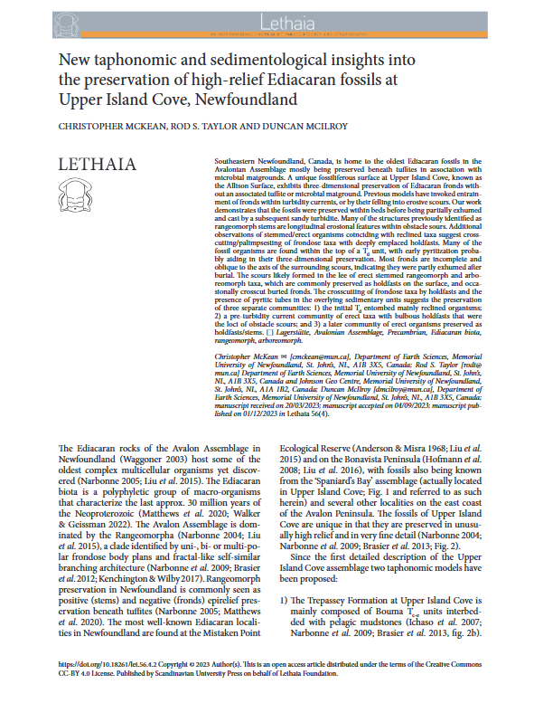 🚨New paper alert🚨
Just in time for #FossilFriday my first first-author paper and first PhD chapter is out!
Using sedimentological and taphonomic evidence we explain the 3D preservation of Ediacaran fossils in Newfoundland
Check it out on Open Access here idunn.no/doi/10.18261/l…