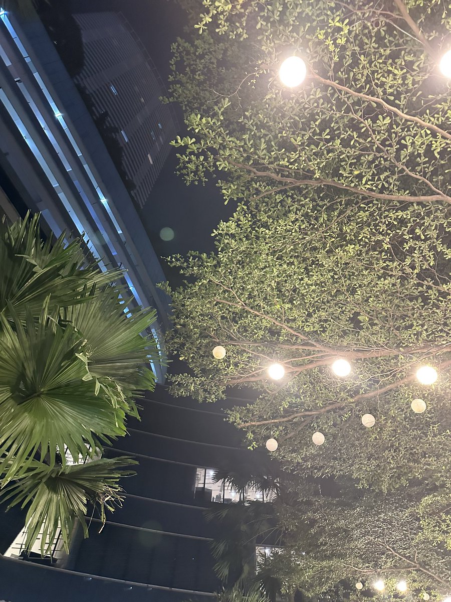 Laaaaleeeeng's tweet photo. ✨ https://t.co/gY1ncFumfn