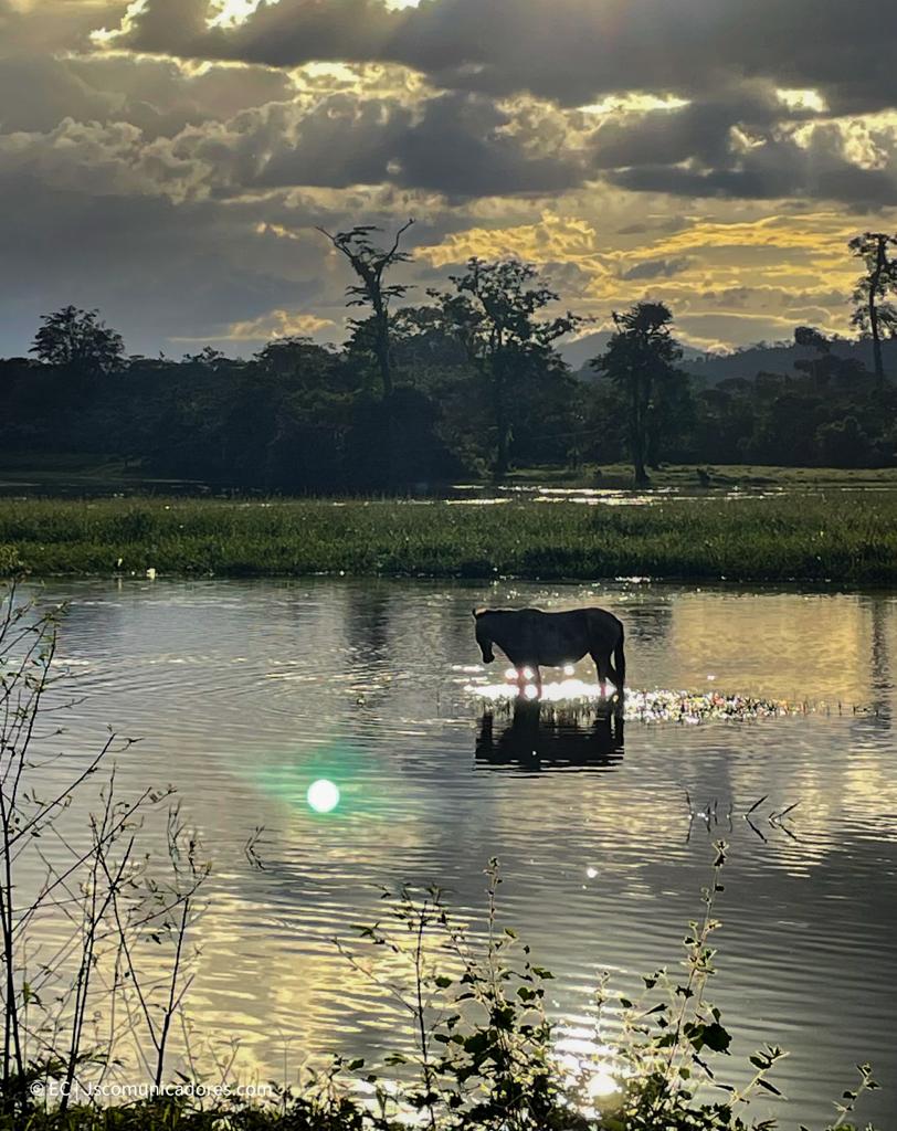 🏞🇳🇮🩵🌴🪴💚 Postales del Bellísimo Municipio de Bonanza 🌱 #NicaraguaPazyBuenaVoluntad 🇳🇮