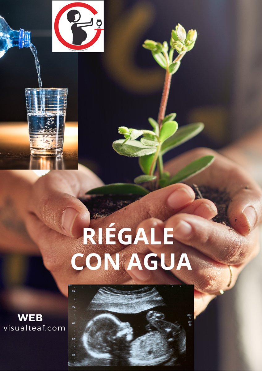 VisualTeaf's tweet photo. Comienzan las celebraciones navideñas, y parece que si no tomas alcohol, no eres nadie.
Recuerda que si estás buscando embarazo, si estás embarazada o crees que puedes estarlo, no te arriesgues. No hay cantidad segura. https://t.co/ztQmcl6g11
