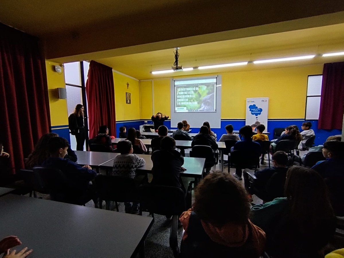 La Salle La Seu tweet media